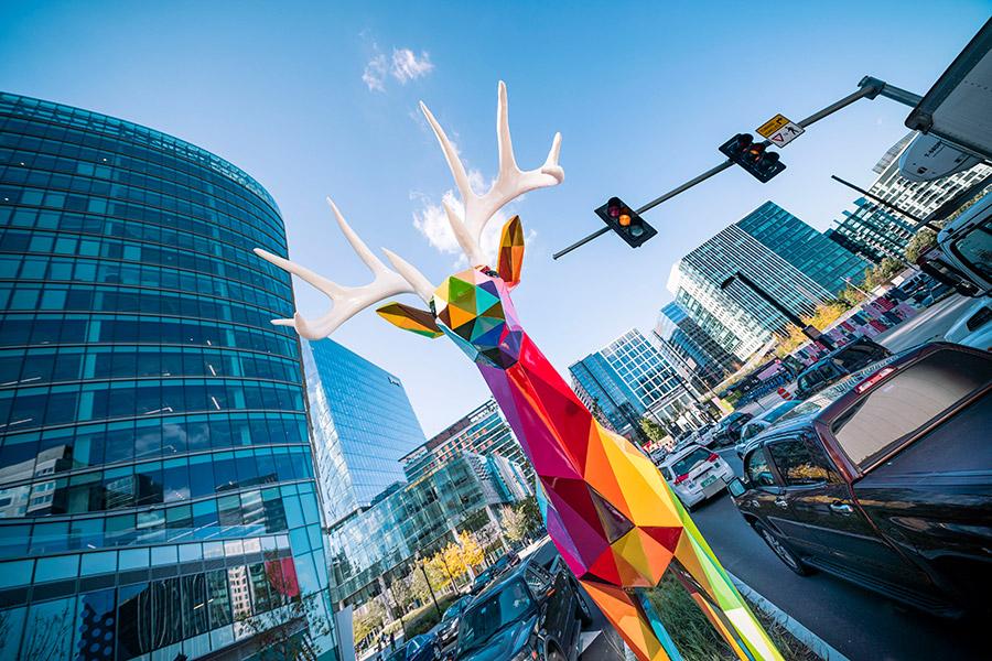 Land Diversity Wild obra del artista Okuda San Miguel en el Paseo Marítimo de Boston del año 2018. Artista Okuda San Miguel, obra Land Diversity Wild, 2018.