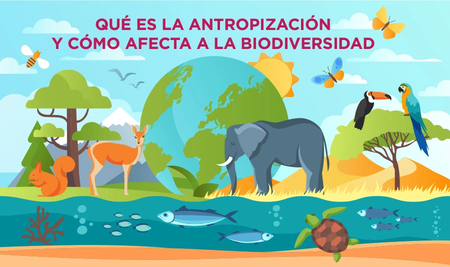 ¿Qué es la antropización?